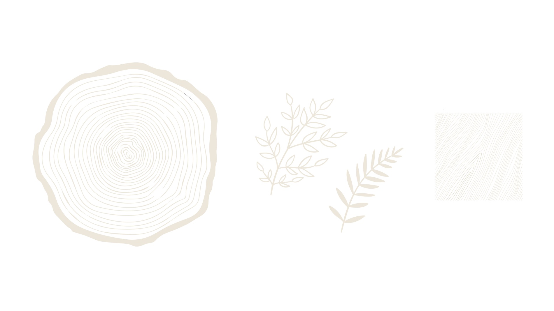 <p>Graphic elements</p>