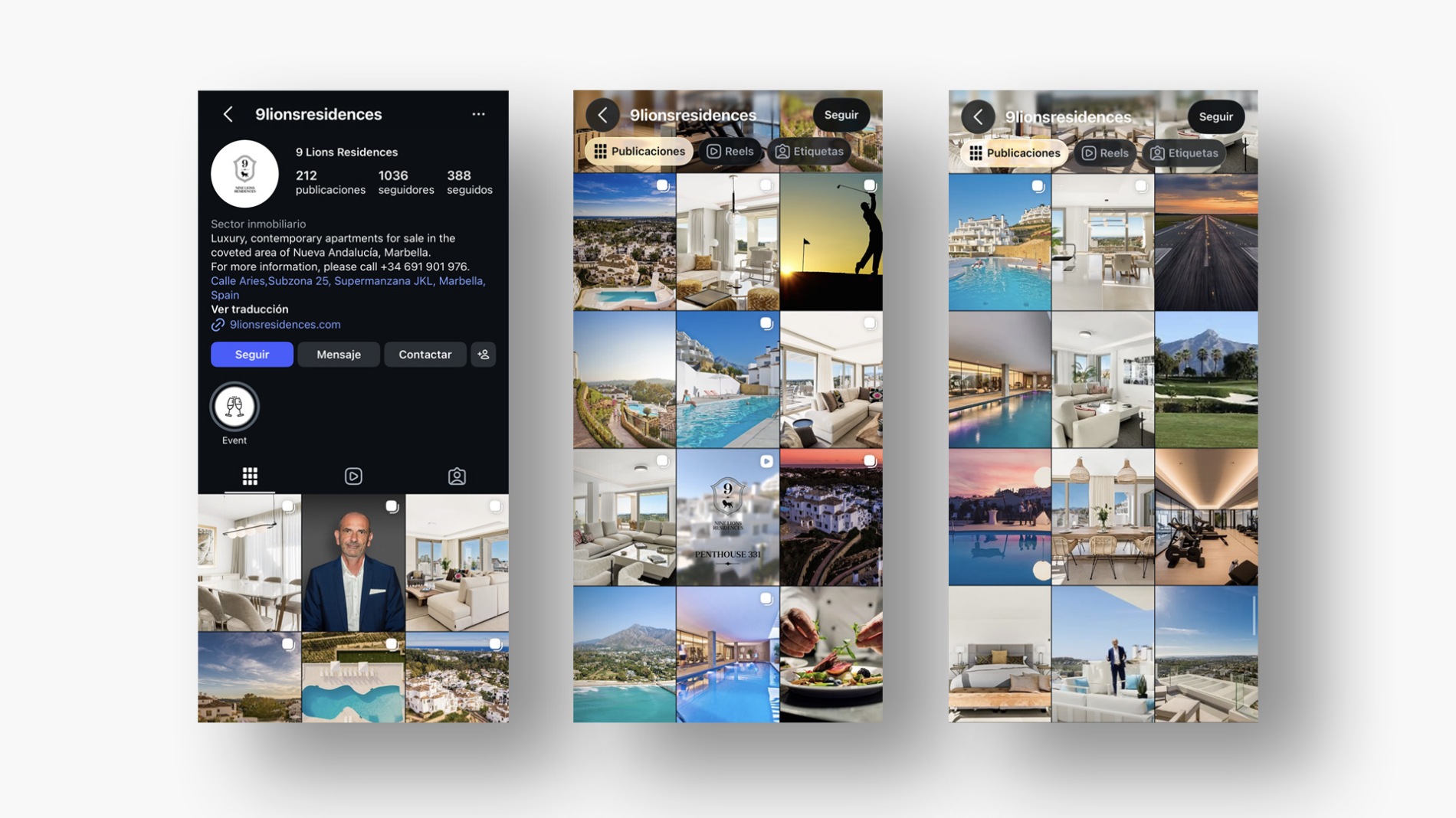 <p>Instagram feed</p>