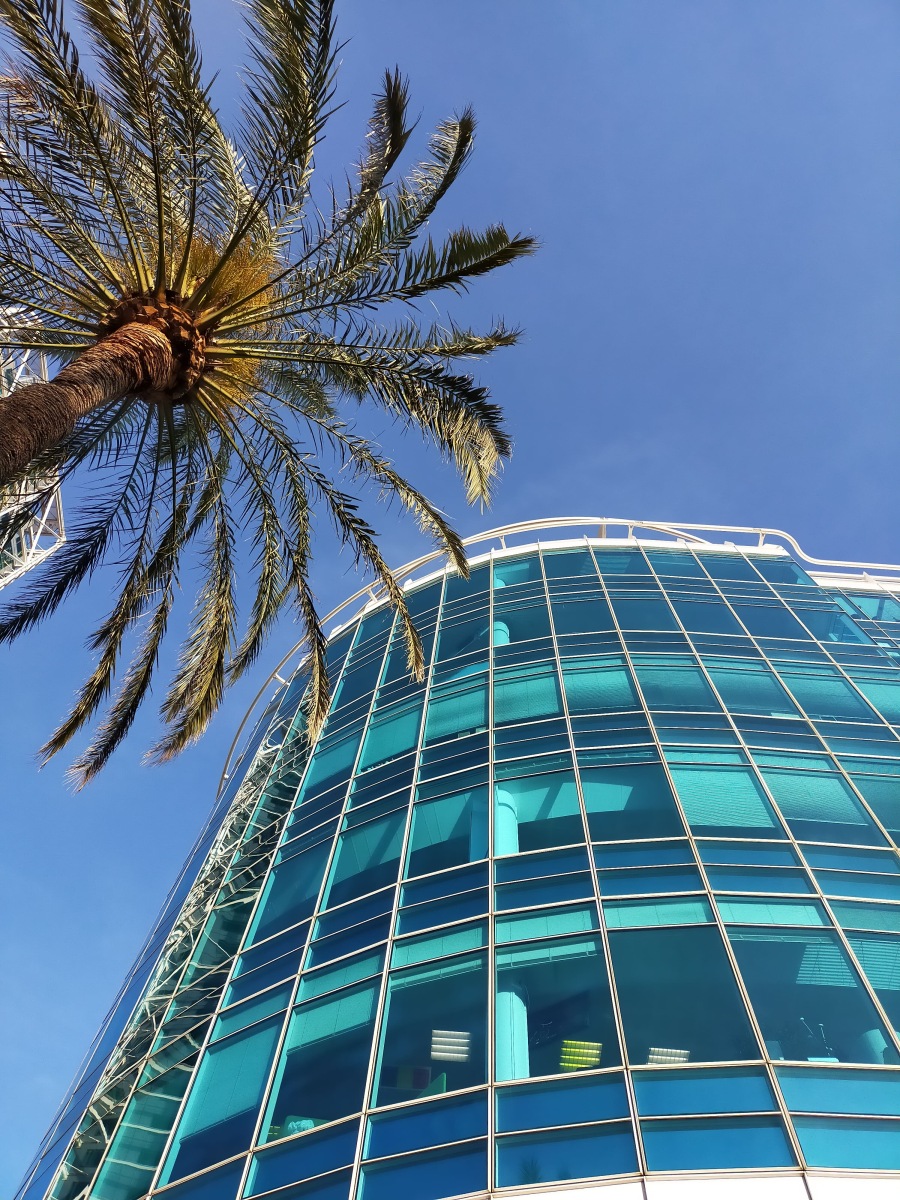 Blue Building